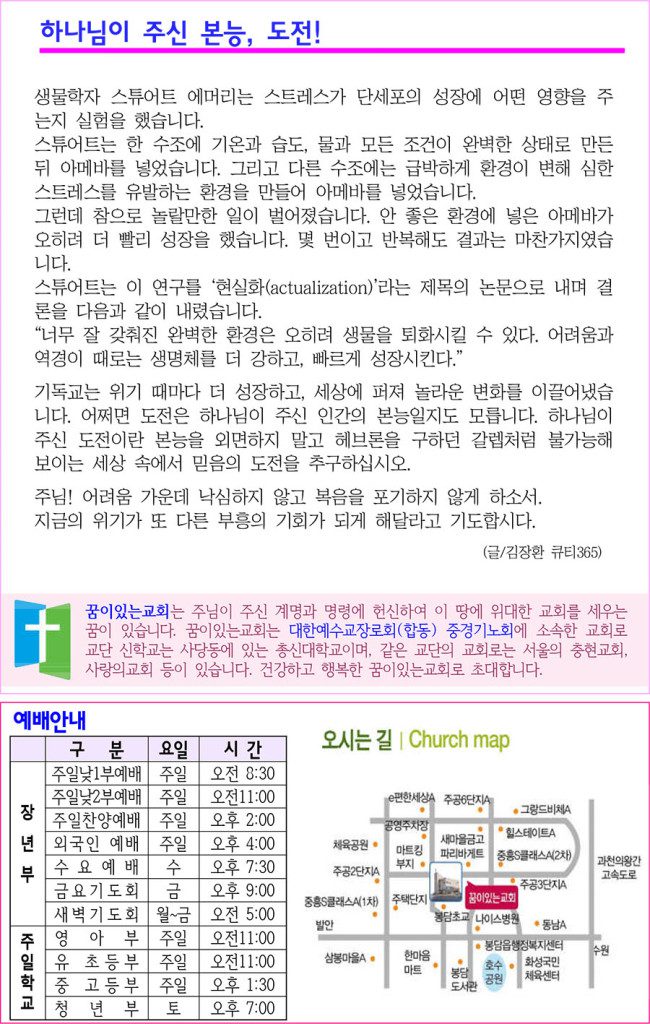 ca56bb8bb47dc263b97f50381006d0ce-650x1024.jpg